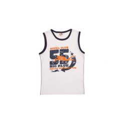 T-shirt bez rękawów chłopięcy z nadrukiem, z lamówkami. Szare t-shirty chłopięce z nadrukiem marki TXM, bez rękawów. Za 11,99 zł.