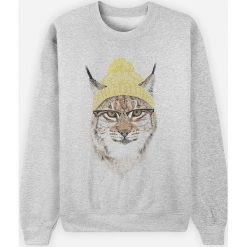 Bluza "Geeky Cat" w kolorze jasnoszarym. Szare bluzy damskie Wooop, m, bez wzorów, bez rękawów, bez kaptura. W wyprzedaży za 87,95 zł.