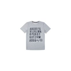 T-shirt męski. Szare t-shirty męskie TXM, m, bez wzorów, bez kołnierzyka. Za 24,99 zł.