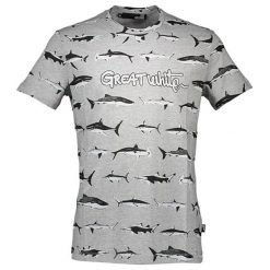 T-shirty męskie: T-shirt w kolorze szarym