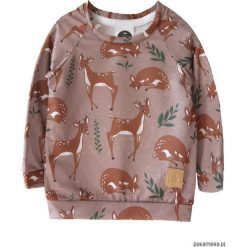Bluza Roe-Deer brown. Brązowe t-shirty chłopięce z nadrukiem marki Pakamera, z dzianiny. Za 90,00 zł.