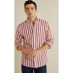 Mango Man - Koszula Carlos. Niebieskie koszule męskie marki Mango Man, s, w paski, z bawełny, casualowe, button down, z długim rękawem. Za 139,90 zł.