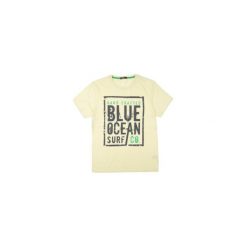 T-shirt męski. Białe t-shirty męskie TXM, m, bez wzorów, bez kołnierzyka. Za 24,99 zł.