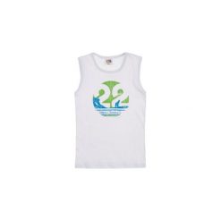 T-shirty chłopięce: t-shirt bez rękawów chłopięcy z printem