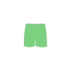 Kąpielówki chłopięce: AQUAWAVE Szorty MAGNETIC KIDS SUMMER GREEN r. 110