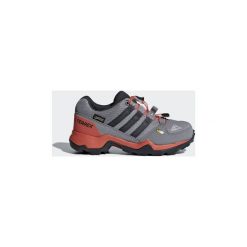 Trampki chłopięce: Buty Dziecko adidas Buty TERREX GTX