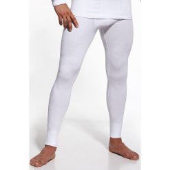 Kalesony męskie CORNETTE Authentic. Szare kalesony męskie marki Cornette, m, bez wzorów, z bawełny. Za 53,99 zł.