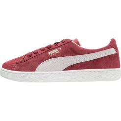 Trampki męskie: Puma SUEDE CLASSIC+ Tenisówki i Trampki bordeaux/beige