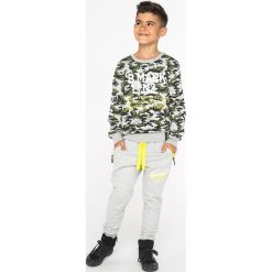 Lemon Explore - Bluza dziecięca 122-164 cm. Zielone bluzy chłopięce marki LEMON explore, z nadrukiem, z bawełny, bez rękawów, bez kaptura. W wyprzedaży za 49,90 zł.