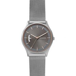 Zegarek SKAGEN - Holst SKW6396 Silver/Silver. Szare zegarki męskie Skagen. Za 719,00 zł.