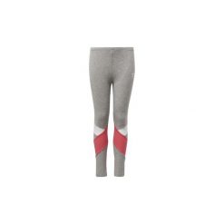 Legginsy dziewczęce: Legginsy i Rajstopy Dziecko adidas Legginsy