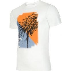 T-shirty męskie: T-shirt męski TSM018 – biały