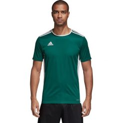 Adidas Koszulka męska Entrada 18 JSY zielona r. XL (CD8358). Zielone t-shirty męskie Adidas, xl. Za 42,40 zł.