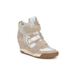 Buty Ash ALEX BIS. Szare trampki i tenisówki damskie Ash, bez wzorów, bez zapięcia. Za 439,50 zł.