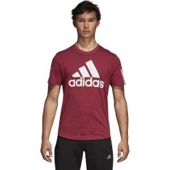 Koszulka adidas Sid Logo (DM4063). Brązowe koszulki męskie marki Adidas, m, bez wzorów, z bawełny, bez kołnierzyka. Za 89,99 zł.