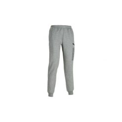 Spodnie dresowe Gym & Pilates męskie. Szare spodnie męskie Puma, m, bez wzorów, z bawełny, sportowe. Za 159,99 zł.
