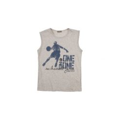 T-shirty męskie: t-shirt bez rękawów męski z printem