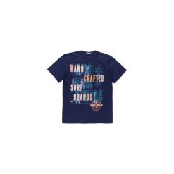 T-shirty męskie z nadrukiem: t-shirt męski z printem