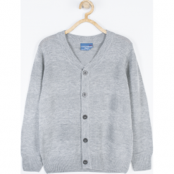 Sweter. Szare swetry chłopięce ELEGANT JUNIOR BOY, bez wzorów, z bawełny, z klasycznym kołnierzykiem. Za 62,90 zł.