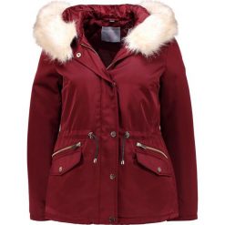 Kurtki damskie: Dorothy Perkins Petite Kurtka przejściowa burgundy