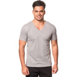T-shirty męskie: Koszulka w kolorze szarym