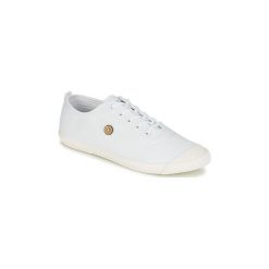 Tenisówki męskie: Buty Faguo OAK
