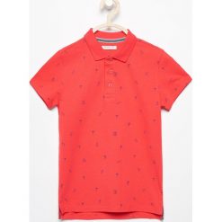 T-shirty chłopięce: Koszulka polo z nadrukiem – Różowy