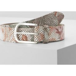 Paski damskie: Vanzetti Pasek olive multi
