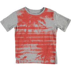 T-shirty chłopięce z nadrukiem: Koszulka „Adams JR P-117” w kolorze szaro-czerwonym