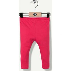 Legginsy dziewczęce: Legginsy w kolorze fuksji