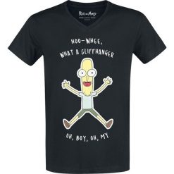Rick And Morty Mr. Kakapopoloch T-Shirt czarny. Czarne koszulki męskie marki Rick And Morty, m, z nadrukiem, bez kołnierzyka. Za 79,90 zł.