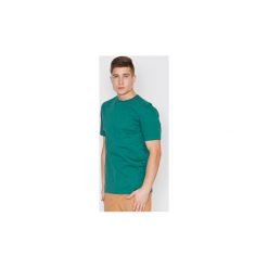 T-shirty z krótkim rękawem Visent -. Zielone t-shirty męskie VISENT, s, bez wzorów, bez kołnierzyka, krótkie. Za 89,00 zł.