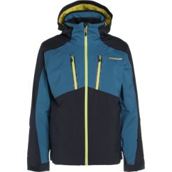 Kurtki sportowe męskie: Ziener TASKO Kurtka narciarska blue navy/blue sea