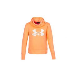 Bluzy Under Armour COTTON FLEECE SPORTSTYLE LOGO HOODIE. Bluzy damskie Under Armour. Za 175,20 zł.