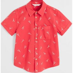 Mango Kids - Koszula dziecięca Lobster 110-164 cm. Czerwone koszule chłopięce Mango Kids, bez wzorów, z bawełny, klasyczne, z klasycznym kołnierzykiem, z krótkim rękawem, krótkie. W wyprzedaży za 55,90 zł.