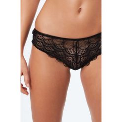 Stringi: Etam – Stringi Shell