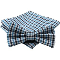 Niebiesko-Granatowa Męska Mucha w Drobną Kratkę - ALTIES - z Taką Samą Poszetką MUALTStania0021. Niebieskie muszki męskie Alties, na imprezę, w paski, eleganckie. W wyprzedaży za 29,00 zł.