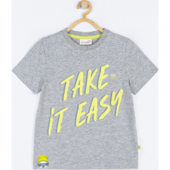 Koszulka. Szare t-shirty chłopięce LAZY AMAZY, z aplikacjami, z dzianiny, z długim rękawem. Za 25,90 zł.