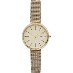 Zegarki damskie: Zegarek damski Skagen Signatur SKW2614