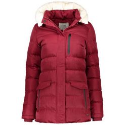 Cars-Jeans Damska Kurtka Charleen Poly Red 4561660 (Rozmiar M). Czerwone kurtki damskie marki Cars Jeans, na zimę, m, z jeansu. W wyprzedaży za 317,00 zł.