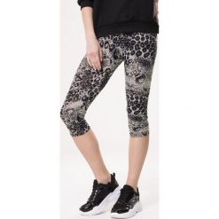 Szare Legginsy Set Trio. Szare legginsy damskie Born2be, m, z aplikacjami, z dzianiny. Za 14,99 zł.