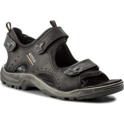 Sandały ECCO - Offroad 06953400201 Black. Czarne sandały męskie skórzane ecco. Za 449,90 zł.