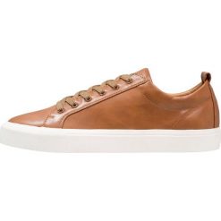 Trampki męskie: Madden by Steve Madden INGLE Tenisówki i Trampki cognac