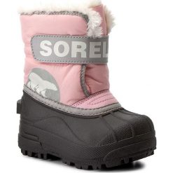 Kozaki dziewczęce: Śniegowce SOREL – Toddler Snow Commander NV1877 Cupid/Dove 651
