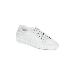 Buty Ash DAZED. Trampki i tenisówki damskie Ash, bez wzorów, bez zapięcia. Za 374,50 zł.