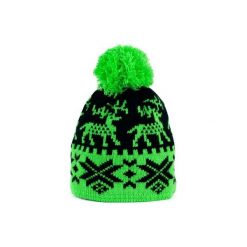 Czapka damska Gubałówka zielona. Zielone czapki zimowe damskie Art of Polo. Za 28,94 zł.