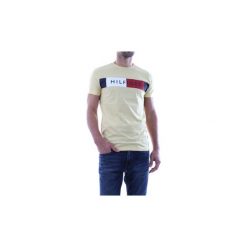 T-shirty z krótkim rękawem Tommy Hilfiger MW0MW09827 STRIPE TEE. Szare t-shirty męskie TOMMY HILFIGER, m, bez wzorów, bez kołnierzyka, krótkie. Za 131,30 zł.
