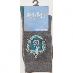 2pack skarpet Harry Potter - Wielobarwn. Szare kapcie męskie House. Za 25,99 zł.