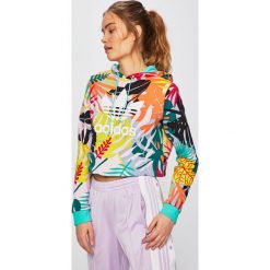 Adidas Originals - Bluza. Szare bluzy damskie adidas Originals, s, z nadrukiem, z bawełny, bez rękawów, z kapturem. W wyprzedaży za 249,90 zł.