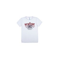 T-shirt męski. Szare t-shirty męskie TXM, m, bez wzorów, bez kołnierzyka. Za 19,99 zł.